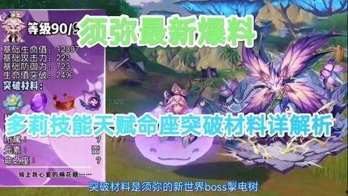 须弥技能爆料表最新版,揭秘神秘力量，探索无尽奥秘